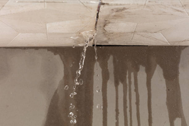 Professional Structural Drying technician working in Kingsville, OH
